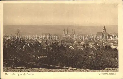 Naumburg Saale Stadtansicht Kat. Naumburg