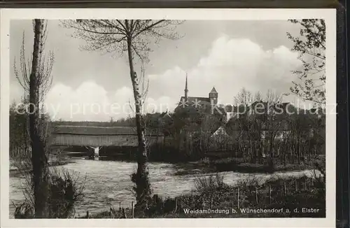 Wuenschendorf Elster Weidamuendung Kat. Wuenschendorf Elster