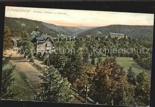 Schwarzburg Thueringer Wald Weisser Hirsch Schloss Kat. Schwarzburg