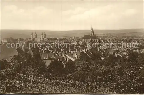 Naumburg Saale Panorama Kat. Naumburg