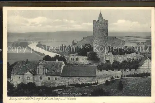 Naumburg Saale Burgruine Schoenburg Kat. Naumburg