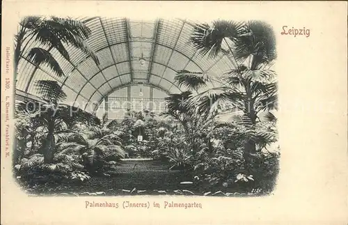 Leipzig Palmenhaus Palmengarten Kat. Leipzig