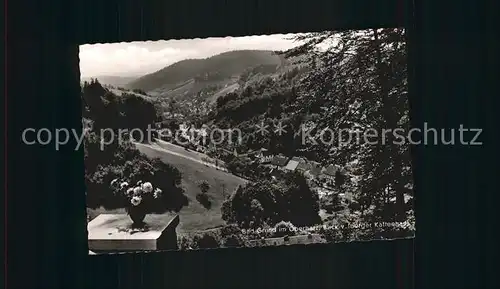 Bad Grund Blick vom Iberger Kaffeehaus Kat. Bad Grund (Harz)