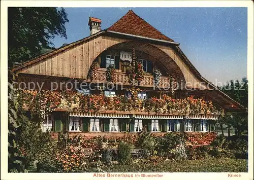 Tschingel Gunten Restaurant zum Krindenhof Bernerhaus im Blumenflor Kat. Tschingel Gunten