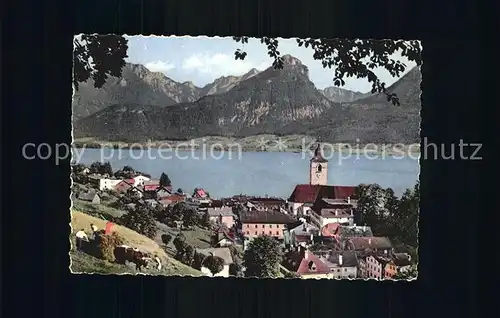 St Wolfgang Wolfgangsee Blick auf den See Kat. St. Wolfgang im Salzkammergut