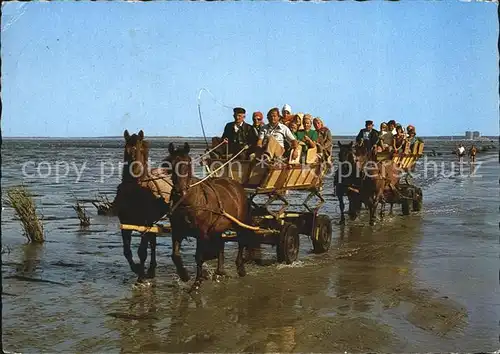 Cuxhaven Nordseebad Doese Duhnen Sahlenburg Wattwagen nach Insel Neuwerk Kat. Cuxhaven