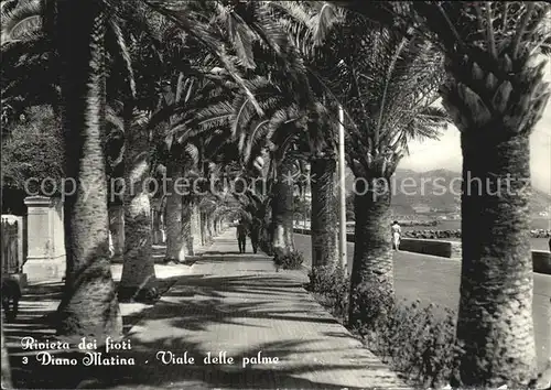 Diano Marina Palmenallee Kat. Italien