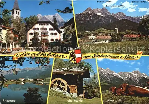 Saalfelden Steinernes Meer Ortspartie bei der Kirche Alpenpanorama Ritzensee Alte Muehle Wasserrad Almidyll Kuehe