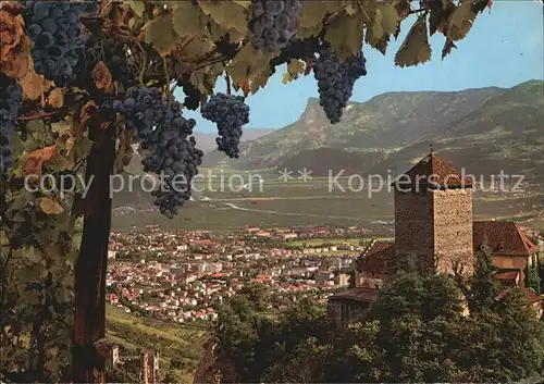 Scena Merano Schloss Tirol Kat. Scena Schenna