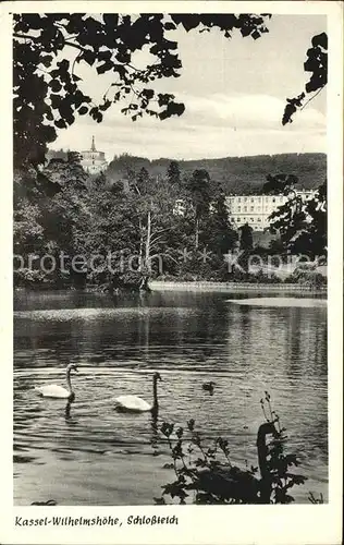 Kassel Wilhelmshoehe Schlossteich Kat. Kassel