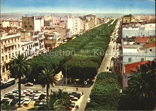 Tunis Allee Kat. Tunis