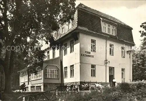 Tanne Harz Erholungsheim Tanneck Kat. Tanne Harz