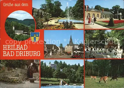 Bad Driburg Schwimmbad Kurpark Brunnen  Kat. Bad Driburg