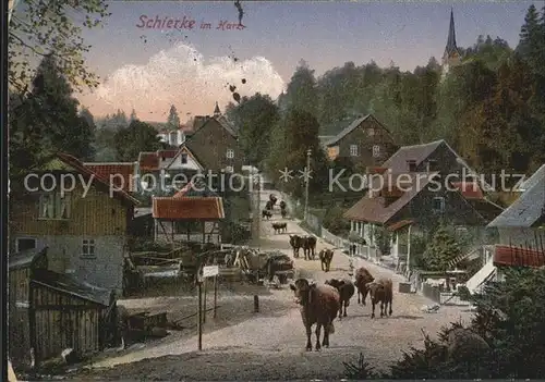 Schierke Harz Kuehe Kat. Schierke Brocken