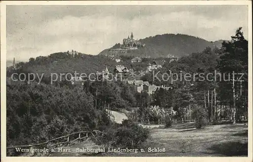 Wernigerode Harz Salzbergtal Lindenberg Schloss Kat. Wernigerode