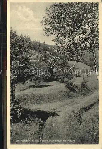 Benneckenstein Harz Kunzental