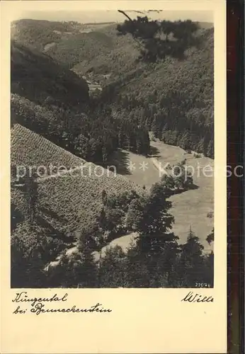 Benneckenstein Harz Kunzental