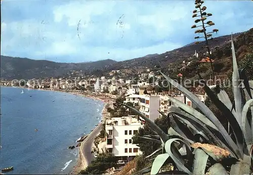 Alassio  Kat. 