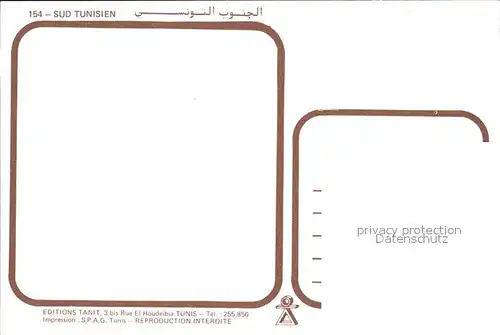 Tunis Kamele Teilansichten Typen  Kat. Tunis