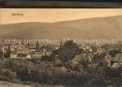 Ilsenburg Harz Dorfansicht Kat. Ilsenburg Harz