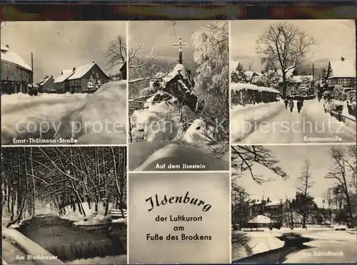 Ilsenburg Harz Ernst Thaelmann Strasse Am Blochhauer Schlossteich Ilsenstein  Kat. Ilsenburg Harz