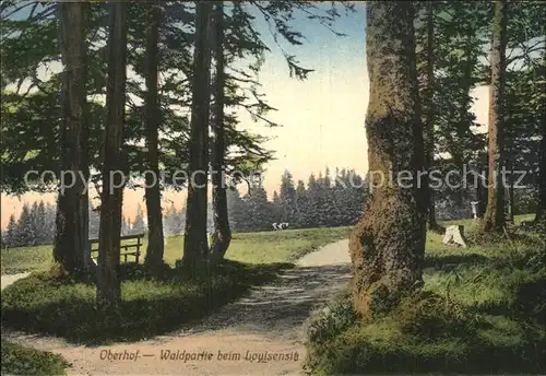 Oberhof Thueringen Waldpartie beim Louisensitz Kat. Oberhof Thueringen