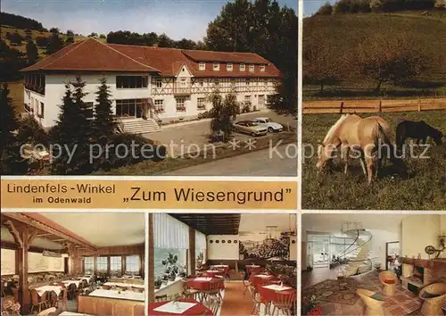 Winkel Odenwald Restaurant Cafe Zum Wiesengrund Gastraeume Pferde Kat. Lindenfels