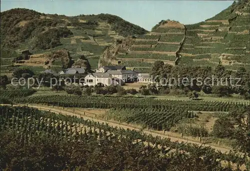 Mayschoss Hotel Weinhaus Lochmuehle Ahr Kat. Mayschoss