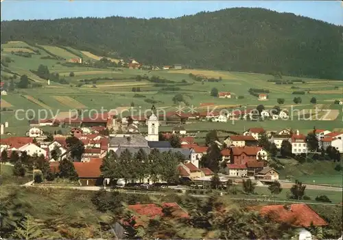 Rinchnach Bayerischer Wald Panorama Kat. Rinchnach