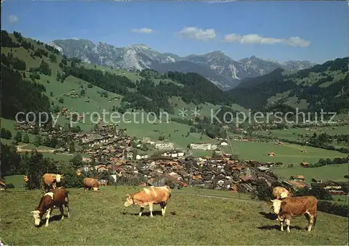 Zweisimmen Panorama Kat. Zweisimmen