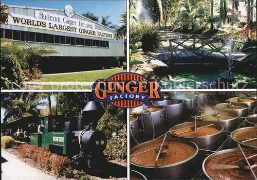 Yandia Ginger Factory Tourism Centre Tourist Train