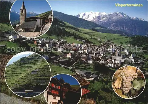 Visperterminen Weinberge Kat. Visperterminen