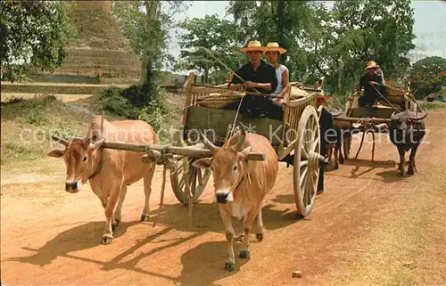 Bangkok Carts drawn both buffalos  Kat. Bangkok