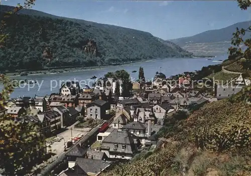 Assmannshausen Jugoslawien Express Panorama / Ruedesheim am Rhein /