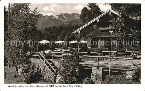 Bad Toelz Waldherr Alm mit Benediktenwand Kat. Bad Toelz