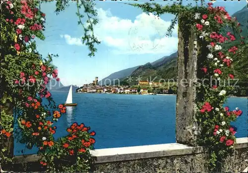 Malcesine Lago di Garda  Kat. Malcesine