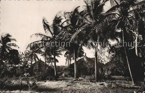 Senegal Cases sous les Cocotiers Kat. Senegal