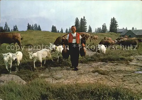 Sellamatt Alpidyll Bauer mit Ziegen und Kuehen Kat. Alt St Johann