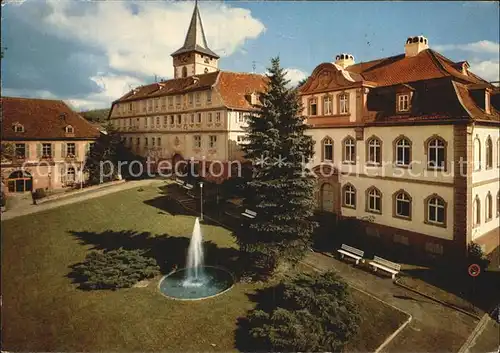 Bad Koenig Odenwald Schloss Fontaene Kat. Bad Koenig