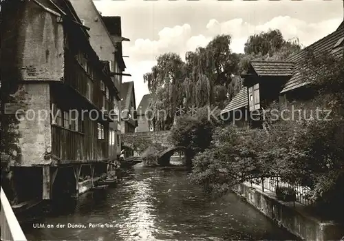 Ulm Donau Blau Bruecke Kat. Ulm