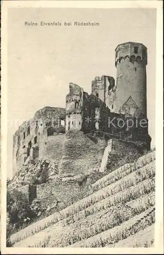 Ruedesheim Rhein Ruine Ehrenfels Kat. Ruedesheim am Rhein