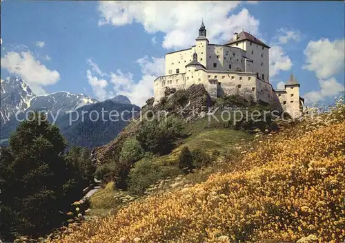 Tarasp Schloss Bergwiese Alpen Kat. Tarasp