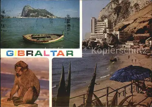 Gibraltar Strand Affe Kat. Gibraltar