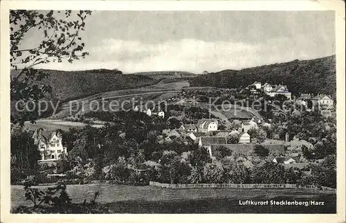 Stecklenberg Panorama Kat. Stecklenberg