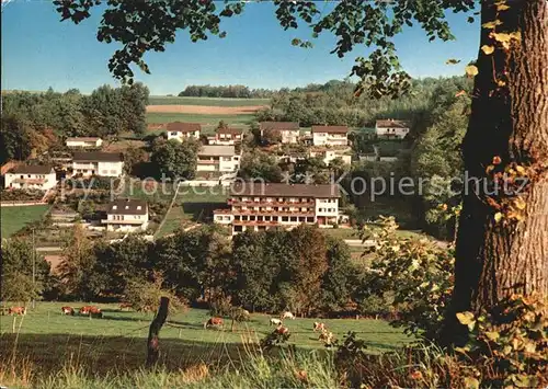 Hoechst Odenwald Waldhotel Forellenhof Kat. Hoechst i. Odw.