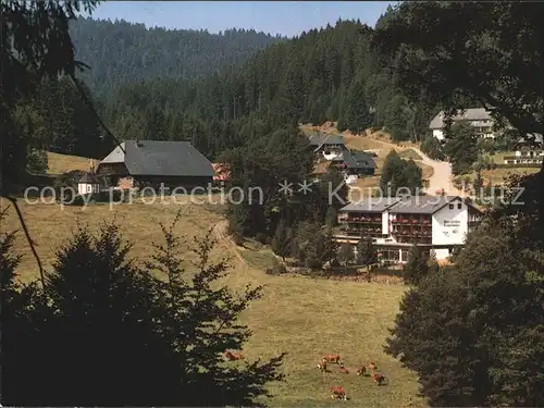 Hinterzarten Hotel Pension Kesslermuehle Schwarzwald Kat. Hinterzarten