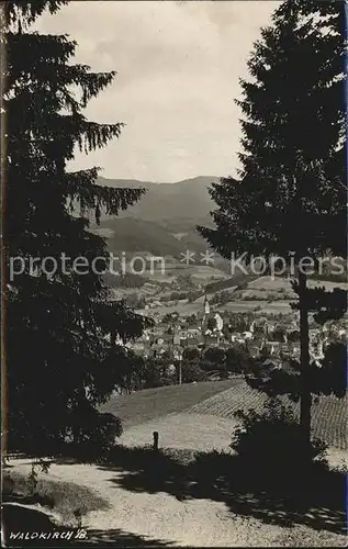 Waldkirch Breisgau Teilansicht Kat. Waldkirch