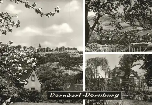 Dorndorf Westerwald Dornburger Schloesser Baumbluete