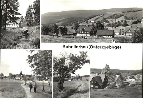 Schellerhau Teilansichten Erholungsort Bach Bruecke Kat. Altenberg