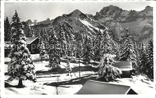 Brusti Attinghausen Chalets Kat. Attinghausen